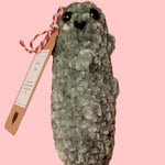 Amigurumi Positive Pickle Crocheted Plushie - Oma's Cozy Creations